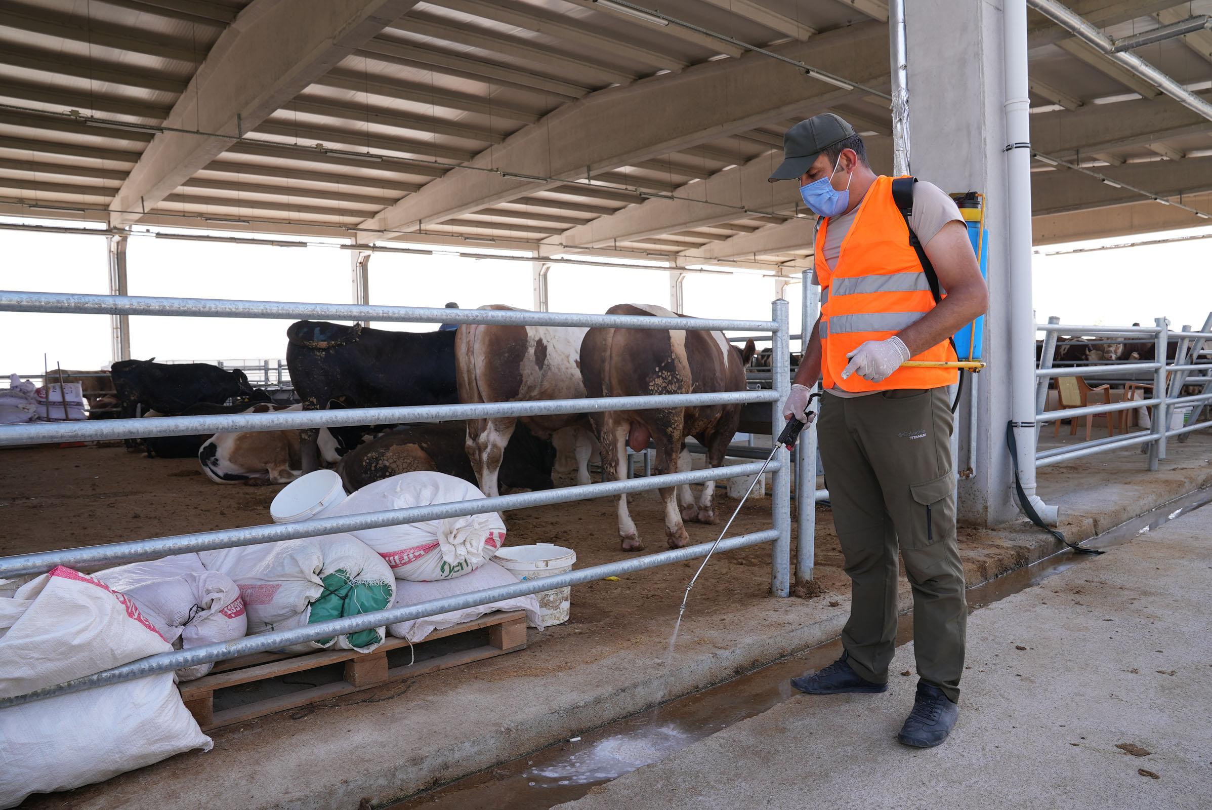 GÖLBAŞI KURBAN SATIŞ MERKEZİNDE HAZIRLIKLAR TAMAM