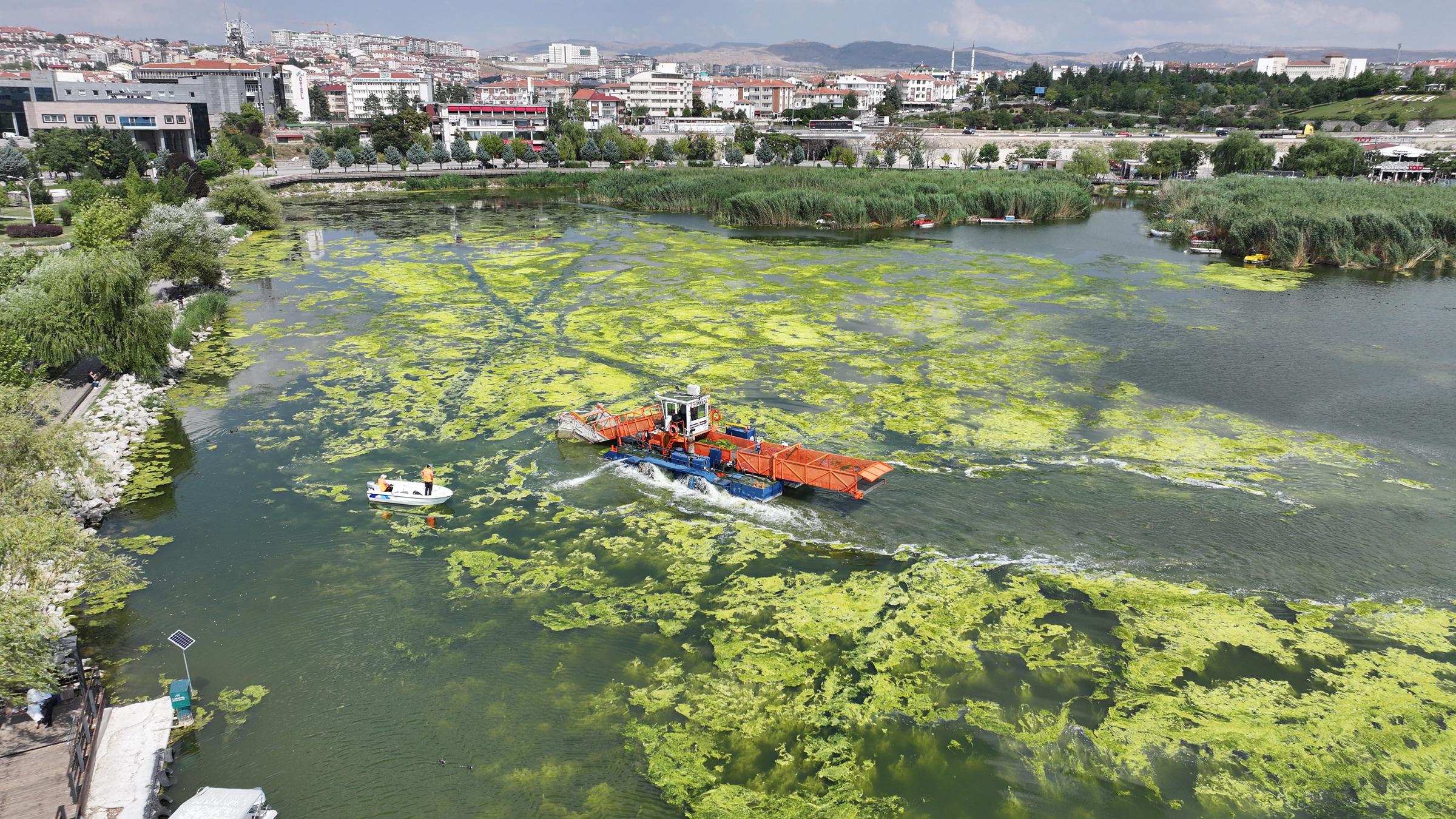 ANKARA'NIN MAVİ VE YEŞİL CENNETİ MOGAN GÖLÜ'NDE BÜYÜK TEMİZLİK ÇALIŞMASI